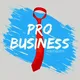 PRO БИЗНЕС | НОВОСИБИРСК | OSNOVA CLUB | ОСНОВА