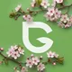 Экоблог Greentest
