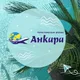 Анкара Турфирма ИНФО