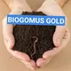 BIOGUMUS GOLD FARG'ONA