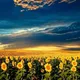 Українці🇺🇦 у Світі🌍 Чат спілкування!