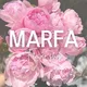 MARFA | Цветы Белград