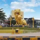 Buôn Bán Chém Gió Sihanoukville CPS