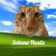 SOLANA HUSTLE счастье не в деньгах