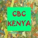 CBC KENYA (competence based curriculum)