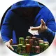 ACRPoker GGPoker Pokerstars 7XLPoker Natural8 Betkings KKPoker PPPoker Pokerbros emperorpoker Prozpoker riverpoker goldstar