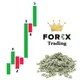 The Forex Trading