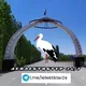🇰🇬ЛЕЙЛЕКТИКТЕР_24 | Расмий канал