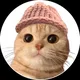 Meowifhat ™️ | Solana