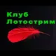 ❇️ Лотострим - Чат