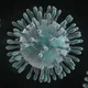 PH Coronavirus Updates 🇵🇭