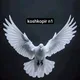 🕊🕊🕊Kòshkopir eron pokston uchqir zotlari🕊🕊🕊