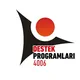 TÜBİTAK 4006