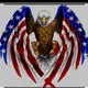 Info seputar kerjaan, asylum dan lainnya di USA