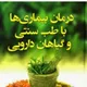 طب سنتی حجامت ودمنوشهای گیاهی 💖💜
