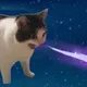 $AAAAACAT🙀 - COMMUNITY