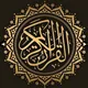 القارئ الشيخ اسلام صبحي عبدالرحمن مسعد سعد غامدي عبدالرحمن السديسي ماهر المعيقلي فارس عباد مشاري العفاسي قران صوتيات مقاطع ستوري