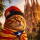 Барселонский движ- BCN EVENTS