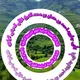 قرة العينية لدراسة العلم الشرعية السلفية