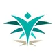 نشط- الاكاديمية السعودية اللوجستية⁩
