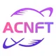 ACN España Grupo