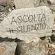 ACUFENE- discutiamone