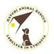 Hatchi animal rescue & shelter in Ethiopia🇪🇹🐕🐈