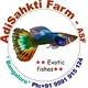 ASF € Bangalore Farm 🚩🌍