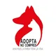 Adopta 🐶❤️🐱