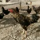 Тоок Базар №1 Кыргызстан!