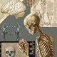تمريضيون 💉🩺