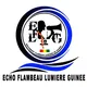 Écho flambeau lumière de Guinée