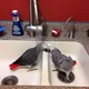 Congo African grey parrots ❤️🦜🕊