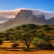War in Africa