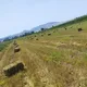 АЛАБУКА - ЧАТКАЛ - АКСЫ ЖАРЫЯ !!! 🇰🇬