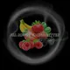 All about e cigarettes