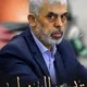 قناه قناة، زوامل ،امين ،الجوفي ،الليث ،انصار الله، سالم المسعودي ، القحوم عدي السفياني عيسى الليث غزة فلسطين لبنان اليمن سور
