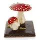 Мухомор Ru Amanita iL