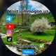 Visit_ommogon.uz ( Manzaralari )