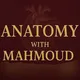 ANATOMY with Mahmoud