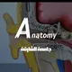 Anatomy | جامعة الشارقة