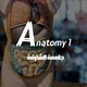 جامعة الشارقة | Anatomy 1