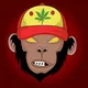 ApeVerse NFT | Play to Earn Game