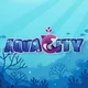 AquaCity Indonesia - Nft - Crypto Staking - Crypto Game