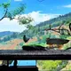 Аквариумистика Таджикистана 🇹🇯