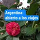 🇦🇷 Аргентина: для путешествий открыто