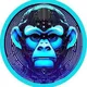 Free Crypto AirDrop (ArrayMonk)