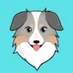 🐕 $ASS: Australian Safe Shepherd Announcements