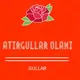Atirgullar olami