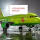 Кору бор Москва, Авиакаса, Билет, Санкт-петербург, Душанбе , Точикистон, Сомон айр